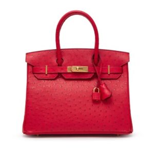 Hermès Birkin 30 Rouge Vif Ostrich Gold Hardware