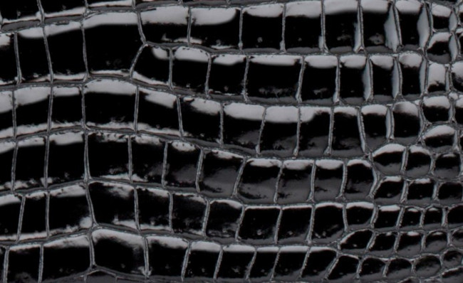 hermes-porosus-crocodile