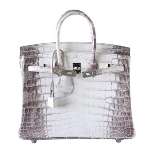 Hermès Birkin Himalaya 25 White 01 Niloticus Crocodile Matt 2021 Y