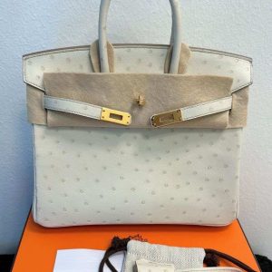 Hermès Birkin  25 Beton 8L Ostrich 2024 B