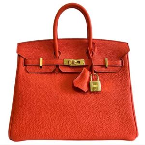 Hermès Birkin  25 Orange Poppy 8V Togo X