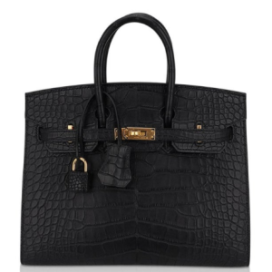 Hermès Birkin Sellier 25 Black 89 Alligator Matt 2024 W
