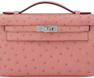 Hermès Kelly Pochette N/A Terre Cuite 94 Ostrich 2015 T