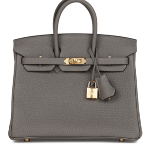 Hermès Birkin  25 Gris Meyer 0L Togo 2022 U
