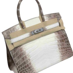 Hermès Birkin Himalaya 30 White 01 Niloticus Crocodile Matt 2020 Y