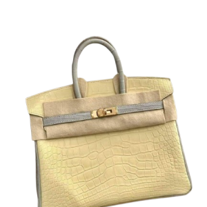 Hermès Birkin Bicolor 25 Gris Pearl 80, Vanille Y1 Alligator Matt 2022 U