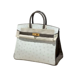 Hermès Birkin Bicolor & HSS 25 Mousse 19, Nata I2 Ostrich 2022 U