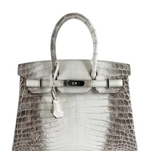 Hermès Birkin Himalaya 30 White 01 Niloticus Crocodile Matt 2016 X