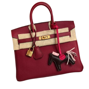 Hermès Birkin  25 Rouge Grenat K1 Togo 2016 X