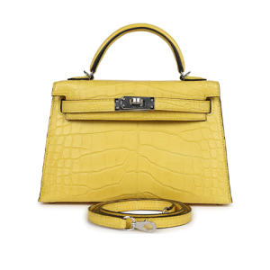 Hermès Kelly  20 Mimosa M9 Alligator Matt 2024 B