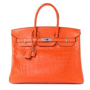 Hermès Birkin  35 Orange Field Alligator Matt 2004 H