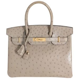 Hermès Birkin  25 Gris Tourterelle 81 Ostrich 2024 W