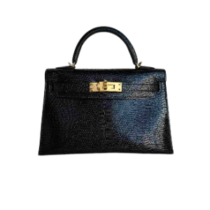 Hermès Kelly  20 Black 89 Lizard 2024 W