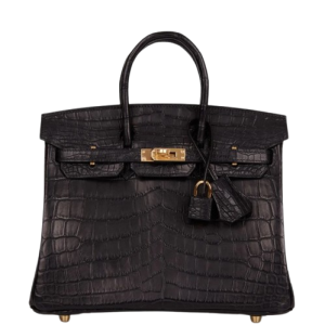 Hermès Birkin  25 Black 89 Niloticus Crocodile Matt 2023 B