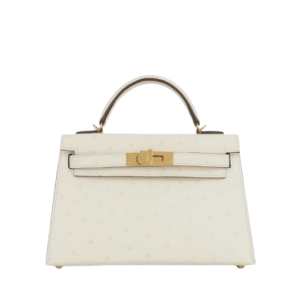 Hermès Kelly Sellier 20 Nata I2 Ostrich 2024 W
