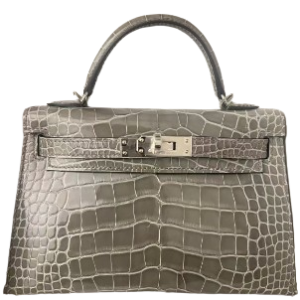Hermès Kelly  20 Gris Ciment 0V Alligator Shiny 2024 W