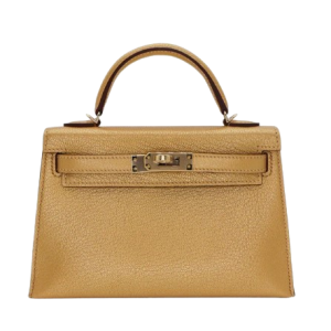 Hermès Kelly Sellier 20 Metallic Gold Chèvre Chamkila 2024 W