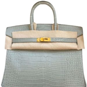 Hermès Birkin  25 Gris Ciment 0V Porosus Crocodile Matt 2023 B