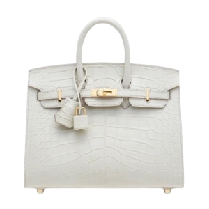 Hermès Birkin Sellier 25 Beton 8L Alligator Matt 2024 B