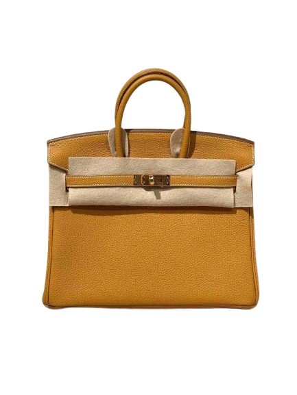 Hermès Birkin Cargo 25 Gold 37 Swift, Toile 2023 B